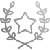 Standrad Image